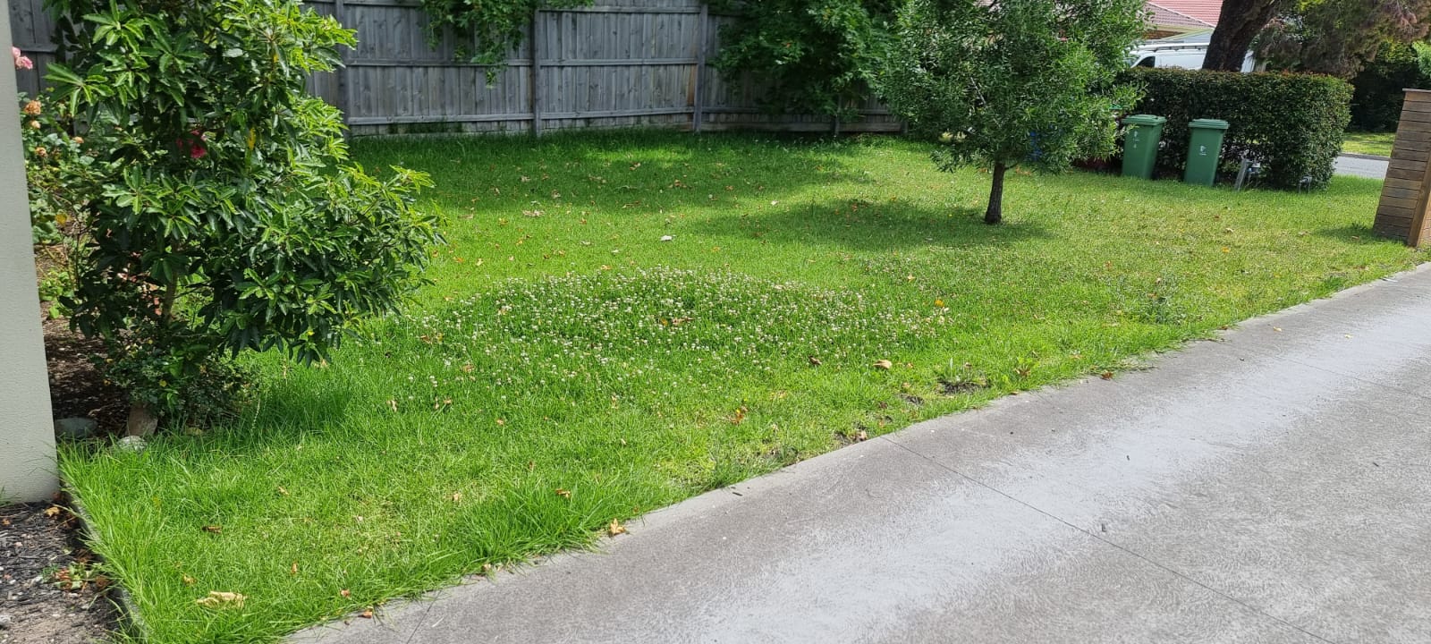 Lawn care Cranbourne